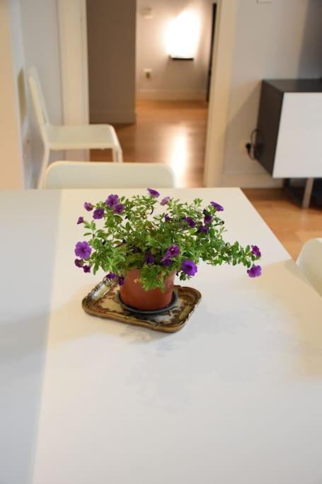Appartement Le Cocon De Matabiau - 2 Pas Du Centre Avec Parking à Toulouse Extérieur photo