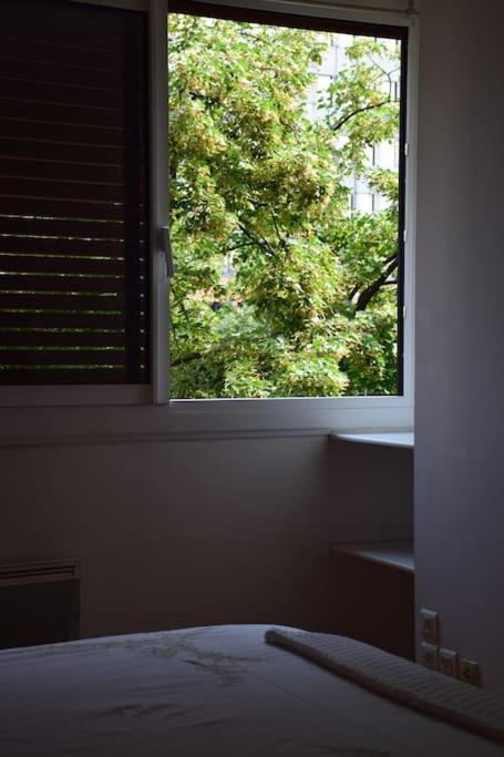 Appartement Le Cocon De Matabiau - 2 Pas Du Centre Avec Parking à Toulouse Extérieur photo